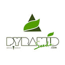 PYRAMID SEEDS - GORILLA - 1 SEED