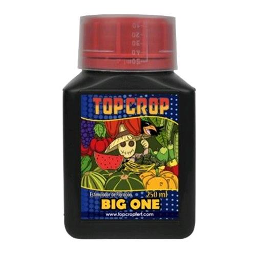 TOP CROP - BIG ONE - 250ML