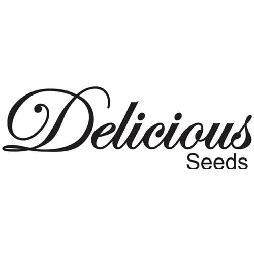 DELICIOUS SEEDS - MARMALATE REGULAR 15 SEEDS