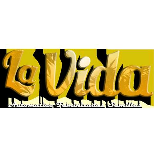 LAVIDA SEEDS - EL NINO AUTO 3 SEEDS