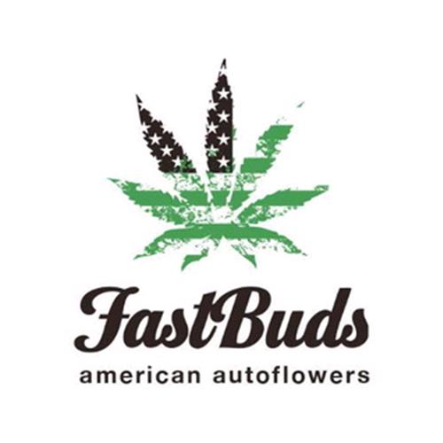 FAST BUDS - GORILLA GLUE AUTO - 25 SEEDS