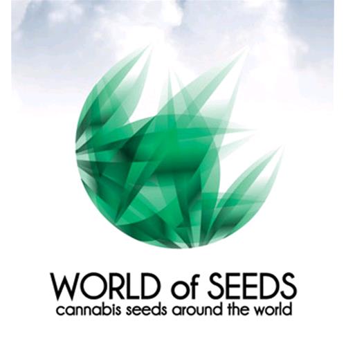 WORLD OF SEEDS - AFGHAN KUSH SPECIAL 7 SEEDS - LEGEND COLLECTION