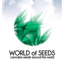 WORLD OF SEEDS - CHRONIC HAZE 3 SEEDS - LEGEND COLLECTION