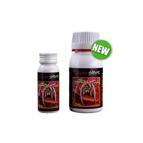 AGROBACTERIAS - SPIDER PLANT (EX SPIDER KILLER) - 15 ML