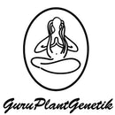 GURU PLANT - BANANA X GORILLA FEM - LIMITED EDITION - 10 SEEDS