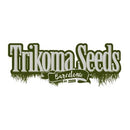 TRIKOMA SEEDS - TOTAL CHEESE FEM - 5 SEEDS