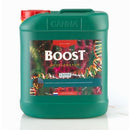CANNA BOOST ACCELERATOR 10L