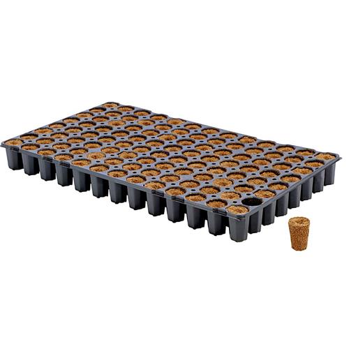 EAZY PLUG - 104C CUBES TRAY - SPECIAL 54X31X5