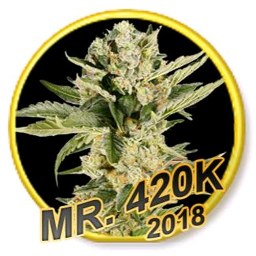 MR. HIDE ? MR. 420K FEMINIZED ? 1 SEED