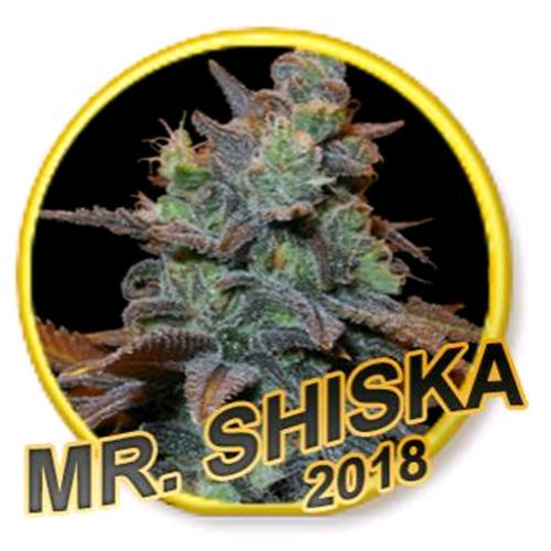 MR. HIDE ? MR. SHISKA FEMINIZED ? 1 SEED