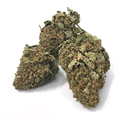 THE MONKEY - FRAGOLINA - BULK 50GR