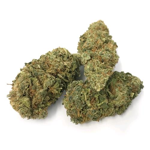 THE MONKEY - MONKEY LEMON - OUTDOOR - BULK 100GR