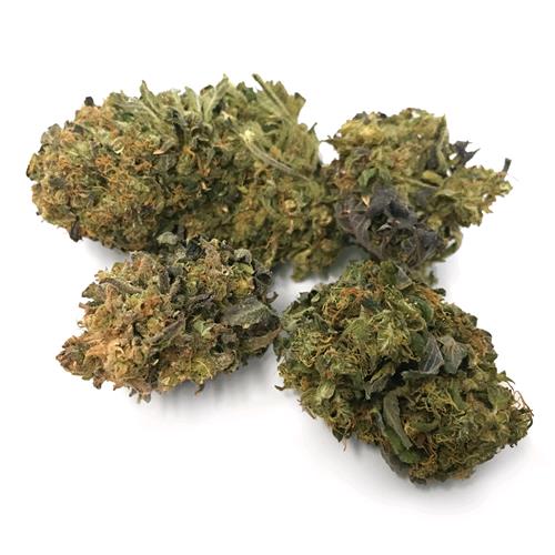 THE MONKEY - 24K GELATO - BULK 100GR