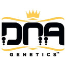 DNA GENETICS - BAKERS DELIGHT FEM - 5 SEEDS