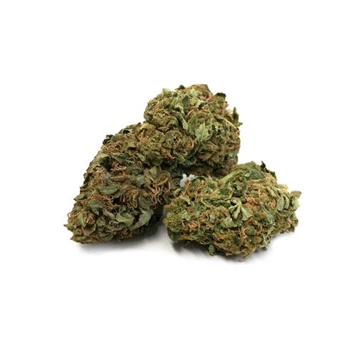 THE MONKEY - HEADBAND REM - BULK 100GR