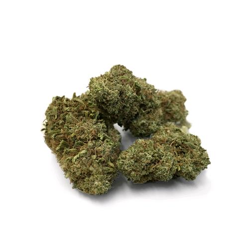 THE MONKEY - QUEEN SPECIAL - BULK 100GR