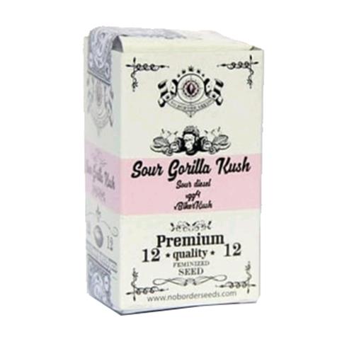 NO BORDER SEEDS - SOURGORILLAKUSH - 6 SEEDS - PREMIUM QUALITY
