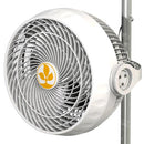 SECRET JARDIN - MONKEY FAN 30W