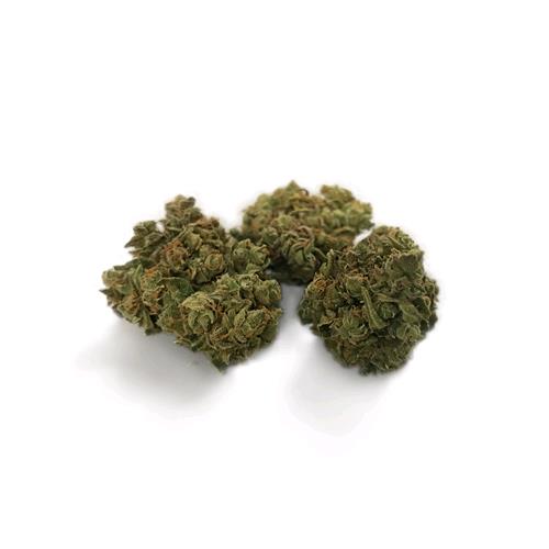 THE MONKEY - 24K REAL AMNESIA - 100GR