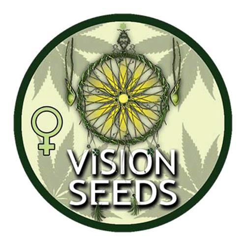 VISION SEEDS - BIG BUD - 3 SEEDS