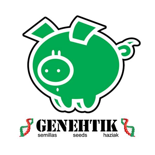 GENEHTIK - NORTHERN LIGHTS X - 1 SEEDS