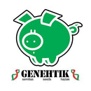 GENEHTIK - ZURI WIDOW - 5 SEEDS