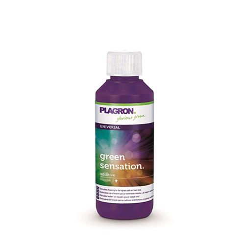 PLAGRON - GREEN SENSATION - 100ML