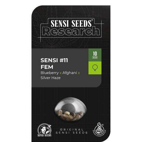 SENSI SEEDS - SENSI #11 FEM - 1 SEED