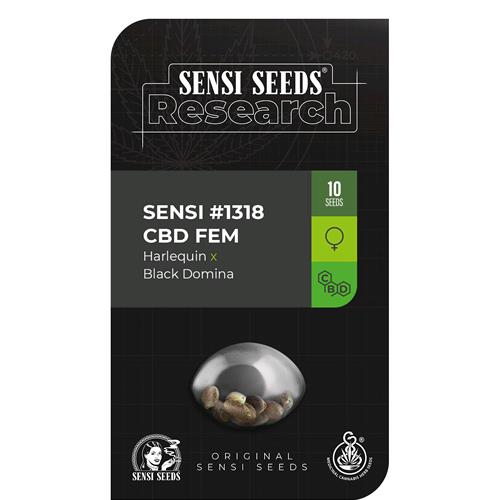 SENSI SEEDS - SENSI #1318 CBD FEM - 3 SEEDS
