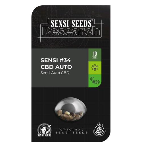 SENSI SEEDS - SENSI #34 CBD AUTO - 1 SEED