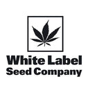 WHITE LABEL - MASTER KUSH AUTOMATIC - 10 SEEDS