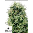 WHITE LABEL - POWER PLANT AUTOMATIC - 3 SEEDS
