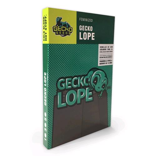 GECKO SEEDS - GECKO LOPE FEM - 3 SEEDS