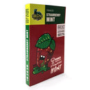 GECKO SEEDS - STRAWBERRY MINT FEM - 3 SEEDS