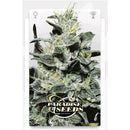 PARADISE SEEDS - NEBULA II CBD FEM - 3 SEEDS
