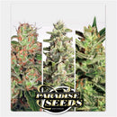 PARADISE SEEDS - AUTO COLLECTION PACK