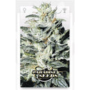 PARADISE SEEDS - SENSI STAR FEM - 5 SEEDS