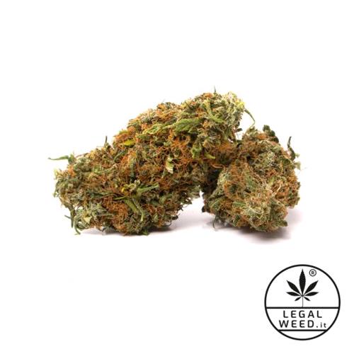 LEGAL WEED - RED ELEMENT 1,5 GR