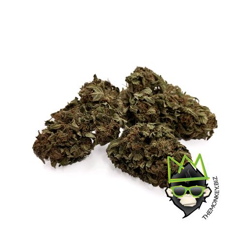 THE MONKEY - 24K KUSH - BULK 100GR