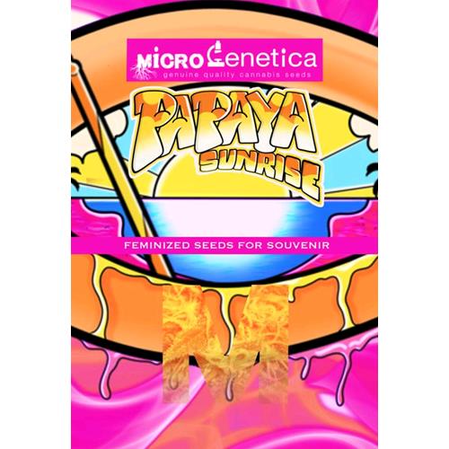 MICROGENETICA - PAPAYA SUNRISE FEM - 3 SEEDS