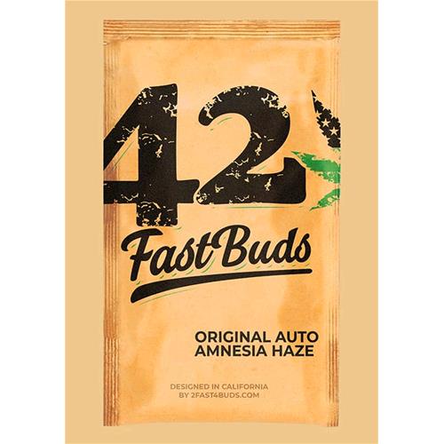 FAST BUDS ORIGINAL - AUTO AMNESIA HAZE - 100 SEEDS