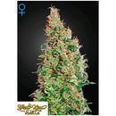 GREEN HOUSE GREEN-O-MATIC 3 SEEDS