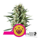 ROYAL QUEEN SEEDS - SPECIAL KUSH
