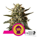 ROYAL QUEEN SEEDS - BUBBLEGUM XL FEM - 3 SEEDS