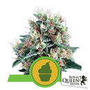 ROYAL QUEEN SEEDS - ROYAL CREAMATIC AUTO - 25 SEEDS