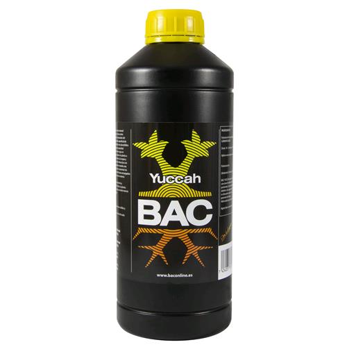 BAC - YUCCAH - 1L