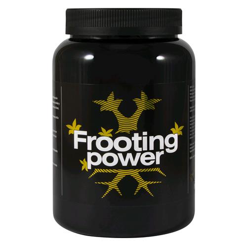 BAC - FROOTING POWER - 1KG