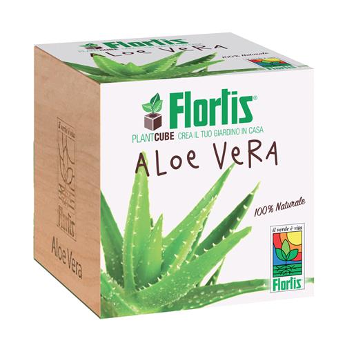 FLORTIS - PLANTACUBE - ALOE VERA