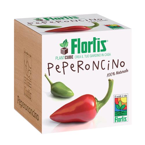 FLORTIS - PLANTACUBE - CHILLI PEPPER