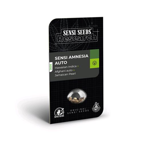 SENSI SEEDS - BANANA KUSH CAKE AUTO - RESEARCH - 1 SEED